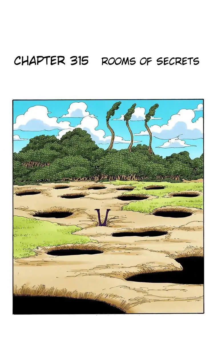 One Piece - Digital Colored Comics Chapter 315 2